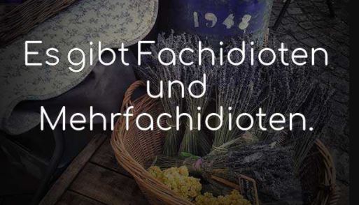 Fachidiot