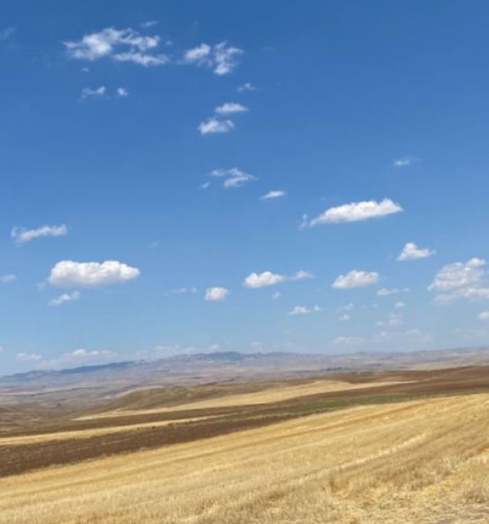 Bozkırın Ruhu